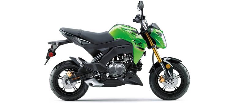 2024 Kawasaki Z125 PRO-RP