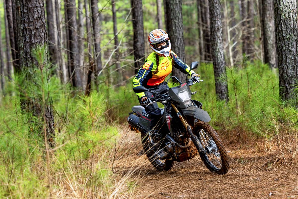 Honda Dual Sport